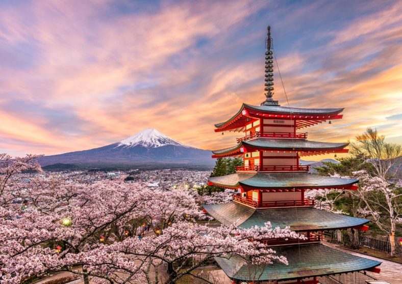 Menjelajahi Keindahan Musim Semi di Jepang : Festival Sakura yang Memukau