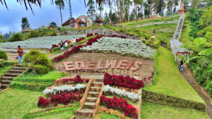 Taman Bunga Edelweis