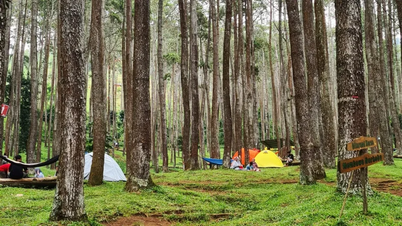 pesona-alam-batu-kuda-destinasi-akhir-pekan-yang-menyegarkan-di-bandung