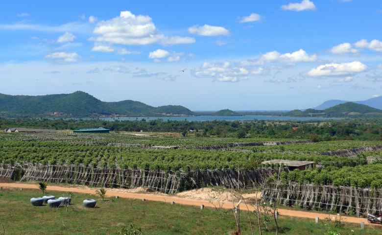 Menjelajah La Plantation, Tempat Wisata Terkenal Kamboja