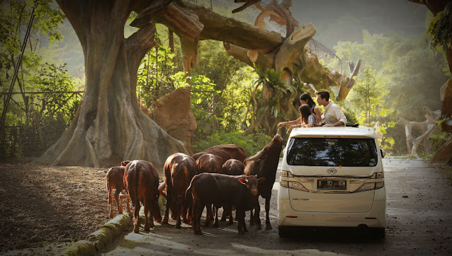 Taman Safari Indonesia Siap Memajukan Pariwisata Nasional
