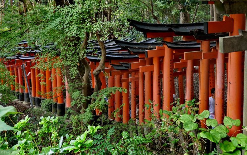 Wisata Rohani di Kuil Fushimi Inari Gerbang Torii Merah yang Ikonik