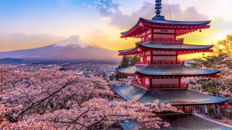 Kuil, Onsen, dan Robot Serunya Liburan Aneh Tapi Seru di Jepang