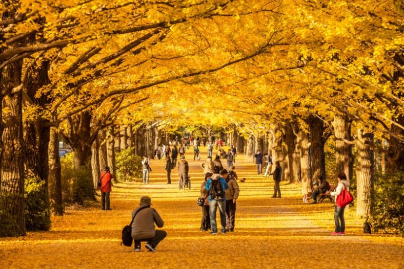 Rekomendasi Wisata Romantis di Jepang untuk Pasangan