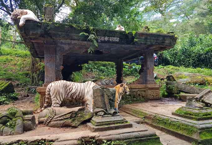 Sejarah Taman Safari Indonesia Yang Harus Kalian Tau