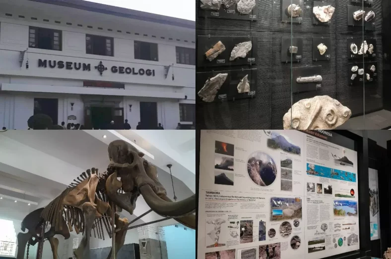 menjelajah-sejarah-bumi-di-museum-geologi-bandung-wisata-edukatif-dengan-harga-terjangkau